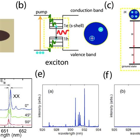 Two-photon interference experiment. (a) Experimental setup. Single... | Download Scientific Diagram