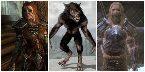 Skyrim: Things You Didn't Know About The Companions