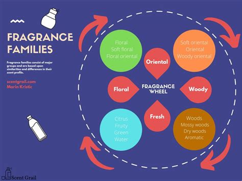 Fragrance Families & Fragrance Wheel: The Ultimate Guide - Scent Grail