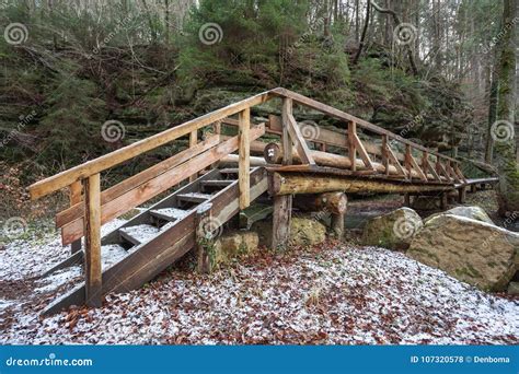 An Wooden Walkway and Bridge Stock Photo - Image of plant, beautiful: 107320578