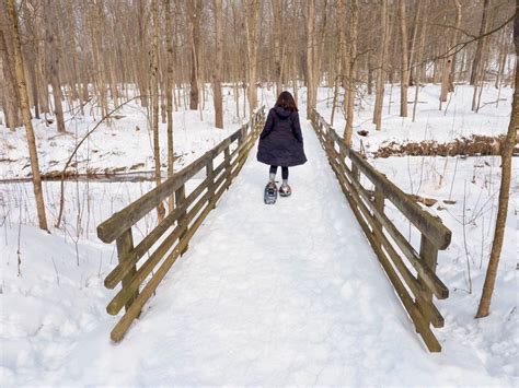 Cuyahoga Valley National Park in the Winter: Your Ultimate Guide