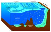 Abyssal fan - Wikipedia