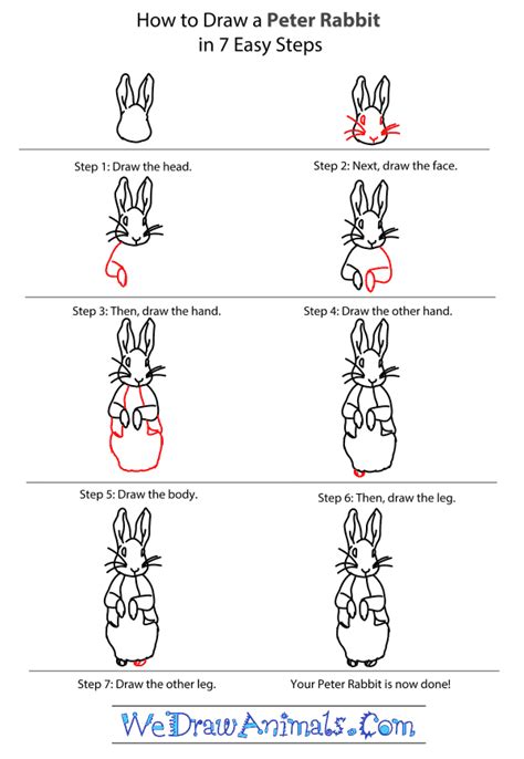 How to Draw Peter Rabbit