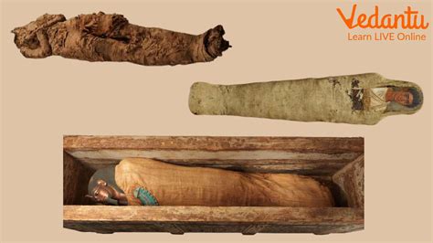 Mummification: Step-wise Guide to How Mummies Were Made