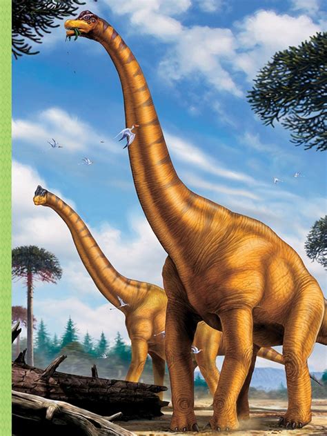 Brachiosaurus