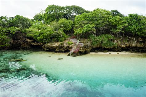 La fascinante isla de Indonesia que fue hogar de roedores gigantes y elefantes diminutos ...