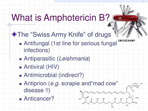 PPT - Studies on Amphotericin B PowerPoint Presentation, free download ...