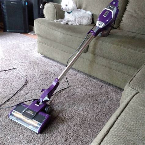 Best Shark Vacuum For Pet Hair 2024 - Elisha Aeriell