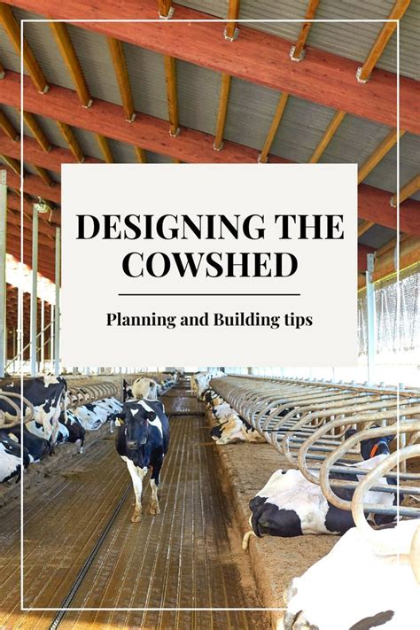 Complete Guide on How to Design a Cowshed in 2022 | Design, Windbreaks, Complete guide