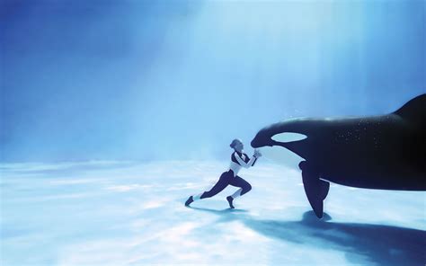 Orca underwater meet wallpaper | 1920x1200 | #13866