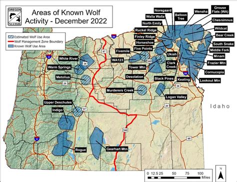 Oregon sending gray wolves to Colorado for reintroduction