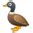 Duck Emoji (U+1F986)