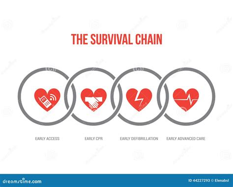 The Survival Chain Stock Vector - Image: 44227293