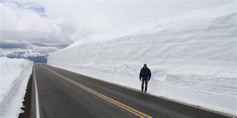 Living and Dyeing Under the Big Sky: Beartooth Highway in June - Snowy ...