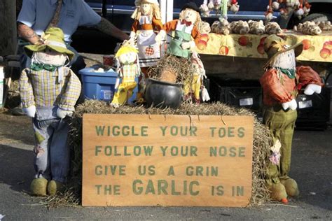 Thousands of garlic-lovers flock to Saugerties for Hudson Valley Garlic Festival - Hudson Valley One