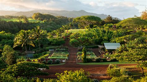 Cultivating agritourism in earnest: Travel Weekly