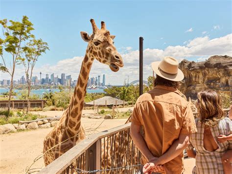 Mercure Sydney - Taronga Zoo