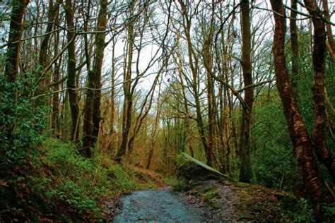 Hidden Yorkshire: How To Find Goit Stock Waterfall - Get Lost Travel Blog