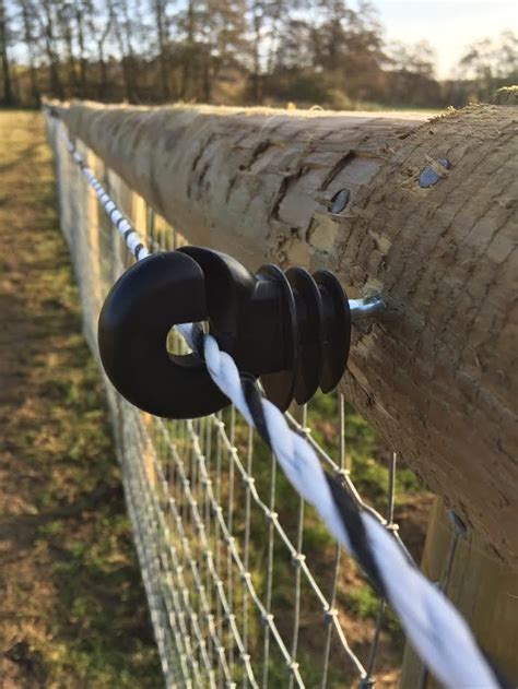 ELECTRIC FENCE RING INSULATORS Fencing Screw In For Wooden Posts Wire 25 50 100 | eBay