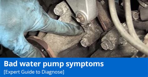 Signs of a Bad Water Pump - Diagnose Your Car's Water Pump - 1A Auto