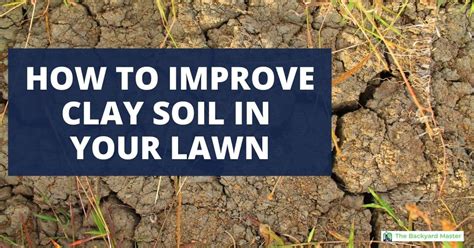 How to Improve Clay Soil for Lawns - The Backyard Master