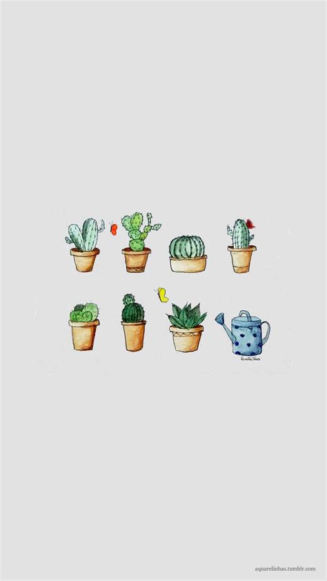 Cute Cactus Wallpapers - Wallpaper Cave