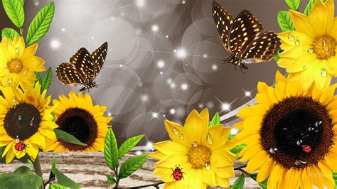 Sunflowers and butterflies collage - WallpaperList | Sunflower art ...