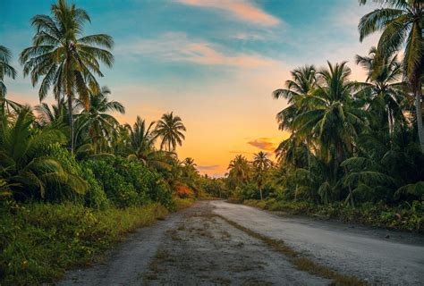 1000+ Interesting Tropical Photos · Pexels · Free Stock Photos