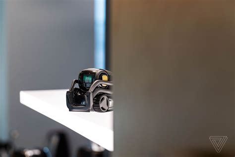 Anki’s latest robot Vector is available today - The Verge