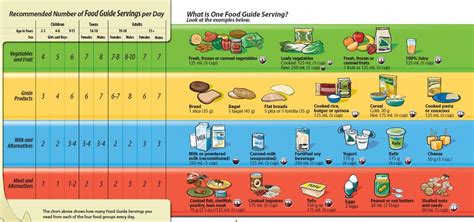 Canadian Guidelines - Nutrition for Children