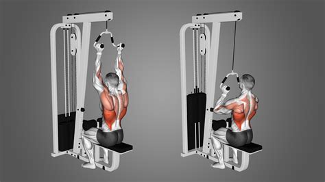 Neutral Grip Lat Pulldown: Benefits, Muscles Worked, and More - Inspire US