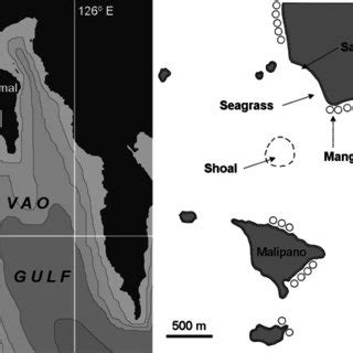 Map of Davao Gulf with study area magnified on right. Isobaths in 300-m... | Download Scientific ...