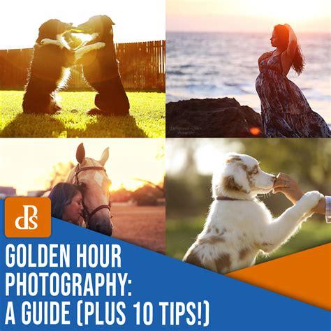 Golden Hour Photography: A Complete Guide (+10 Tips)