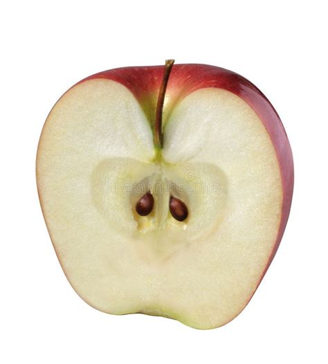 Apple (Half). Half of Apple (with outline path , #Sponsored, #Apple, #outline, #path #ad | Apple ...