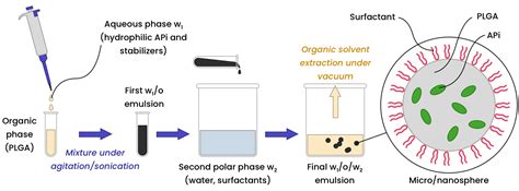 PLGA Encapsulated Nanoparticles – Fortis Life Sciences