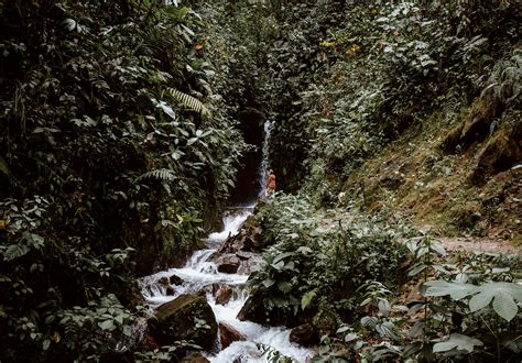 A Guide to Mindo | Ecuador's Town in the Clouds — ALONG DUSTY ROADS