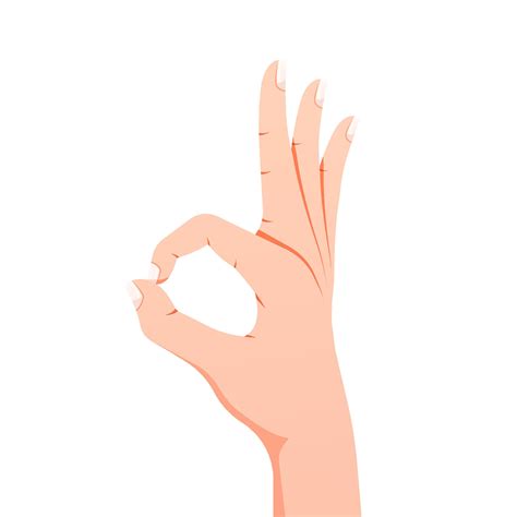 OK hand gesture vector isolated on white background. 31132890 Vector ...