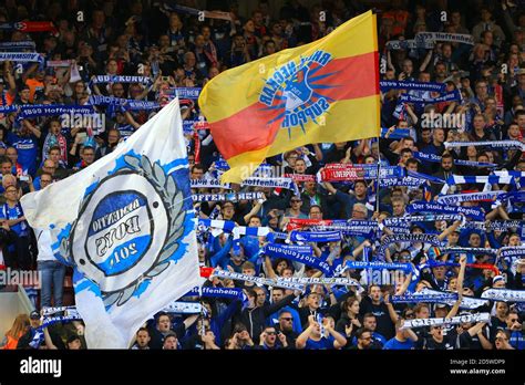 Hoffenheim fans wave flags in the stands Stock Photo - Alamy