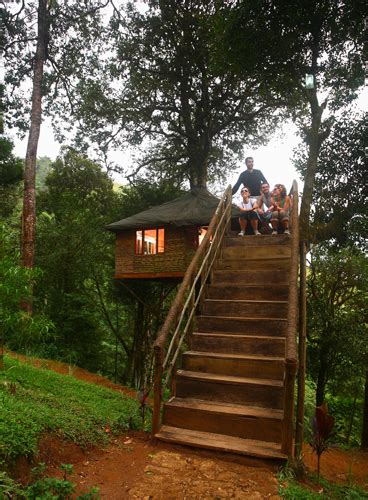 Munnar Tree House | Tree House Munnar Kerala | Tree House Kerala Munnar Nature Zone Resort ...