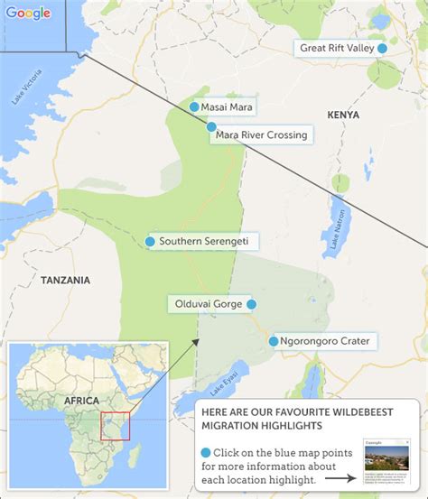 Wildebeest Migration map & highlights