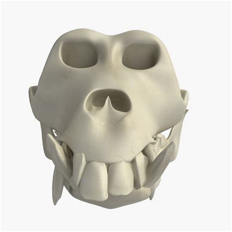 chimpanzee skeleton 3ds