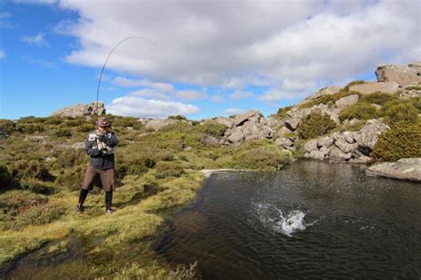 Fishing Line Strength Chart: Choosing the Right Pound Test