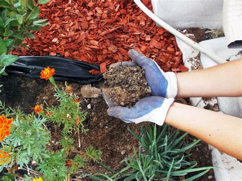 How to get rid of termites | Portable garden, Self watering planter, Edible garden