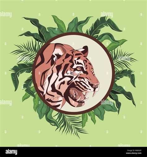 Tiger drawing in the jungle vector illustration graphic design Stock Vector Image & Art - Alamy