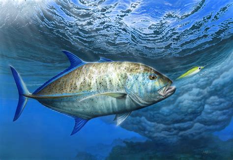 Bluefin-Trevally – Fly Life Magazine