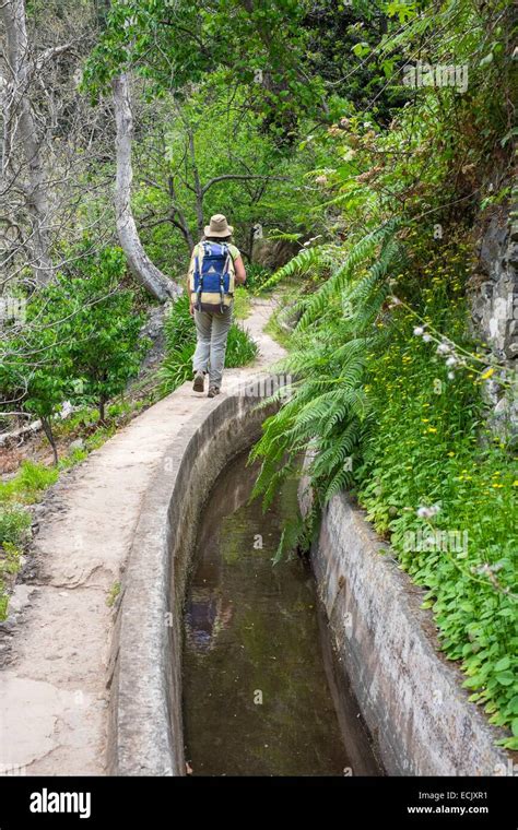 Portugal, Madeira island, hiking along the levada do Norte Stock Photo ...