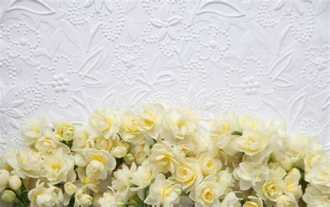 2,462 Background White Embossed Paper Stock Photos - Free & Royalty-Free Stock Photos from ...