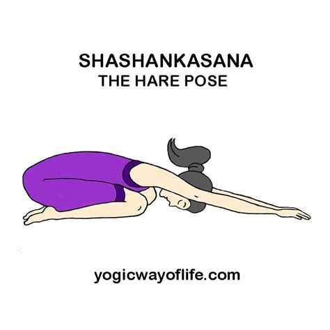 Shashankasana - The Hare Pose | Power yoga poses, Kundalini yoga poses, Yoga poses