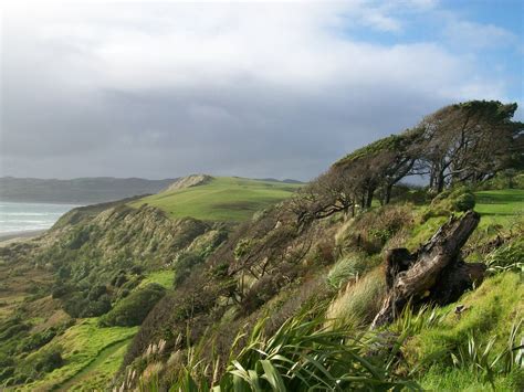 Ragland Beach, New Zealand. | England travel, Travel, New zealand