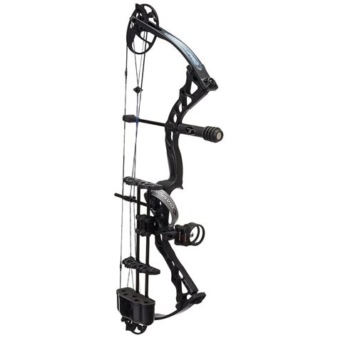 The 3 Best Compound Bows [UNDER $600] | Warriors Archery